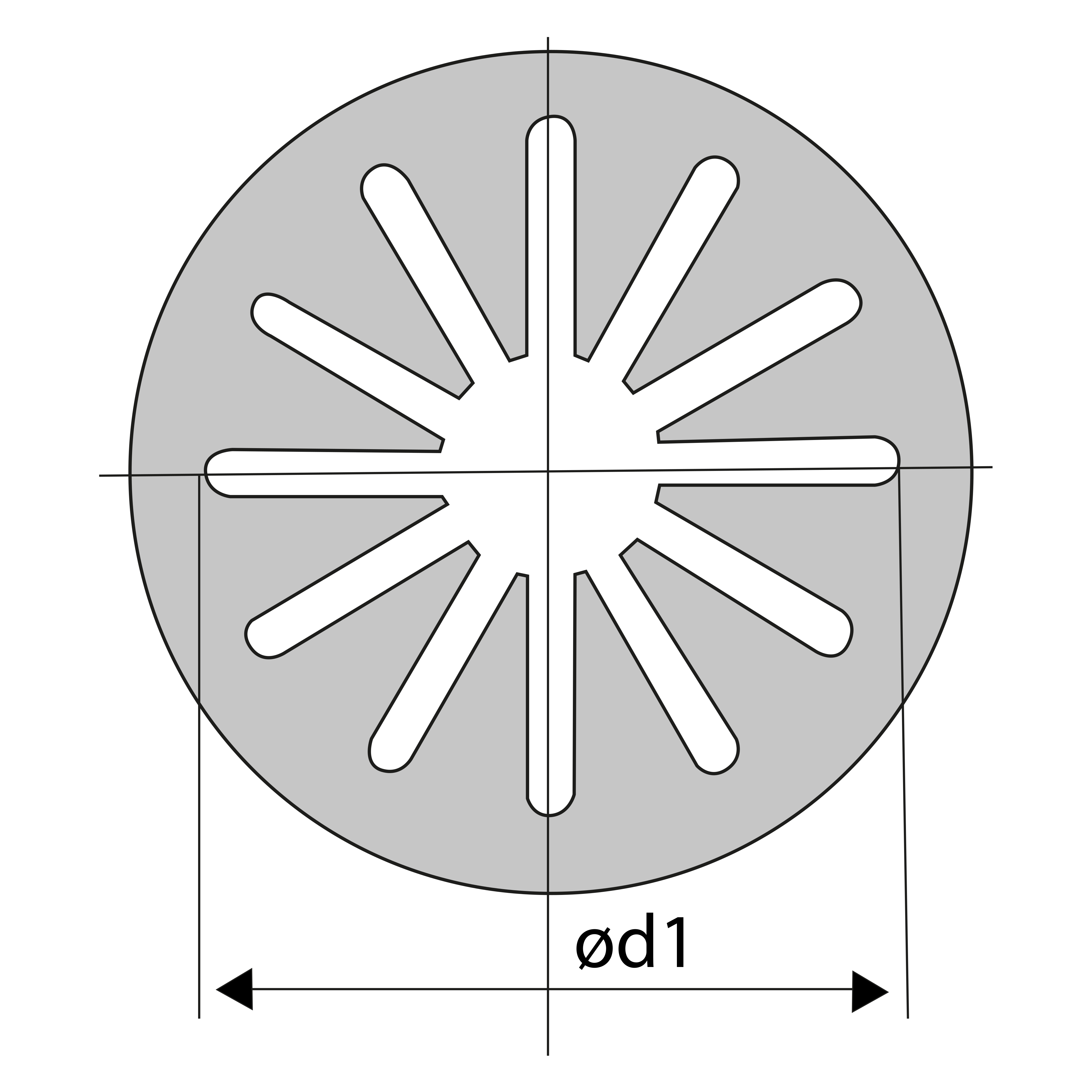 schema borrelly diaphragme rondelles